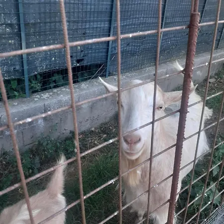 Casavacanze Baggioro Prázdninový dům
